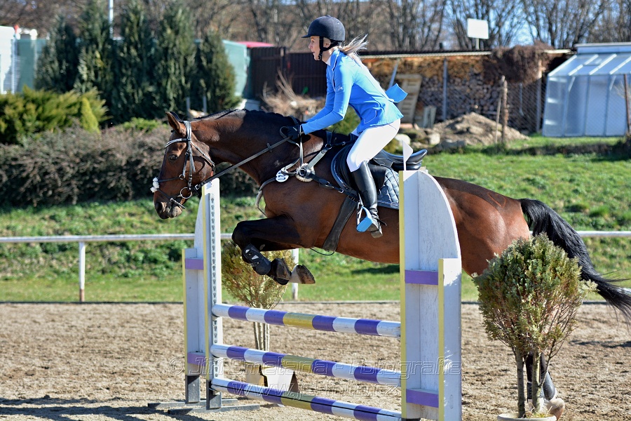 Skoková soutěž „Stupňovaná obtížnost do 100 cm“