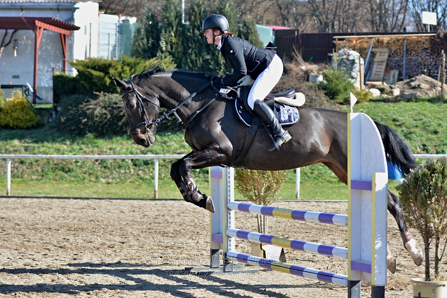 Skoková soutěž „Stupňovaná obtížnost do 100 cm“