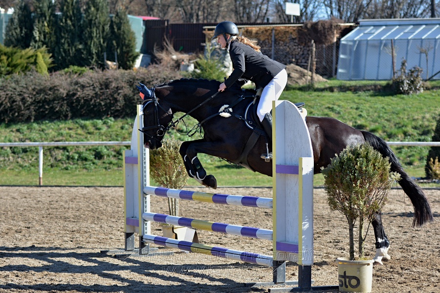 Skoková soutěž „Stupňovaná obtížnost do 100 cm“