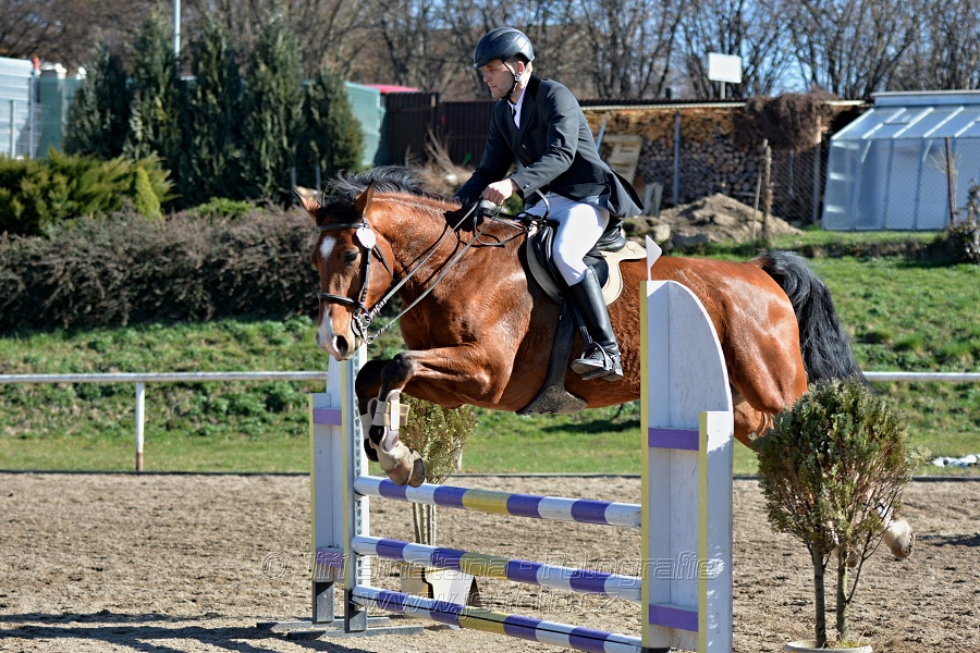 Skoková soutěž „Stupňovaná obtížnost do 100 cm“