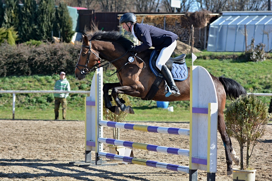 Skoková soutěž „Stupňovaná obtížnost do 100 cm“