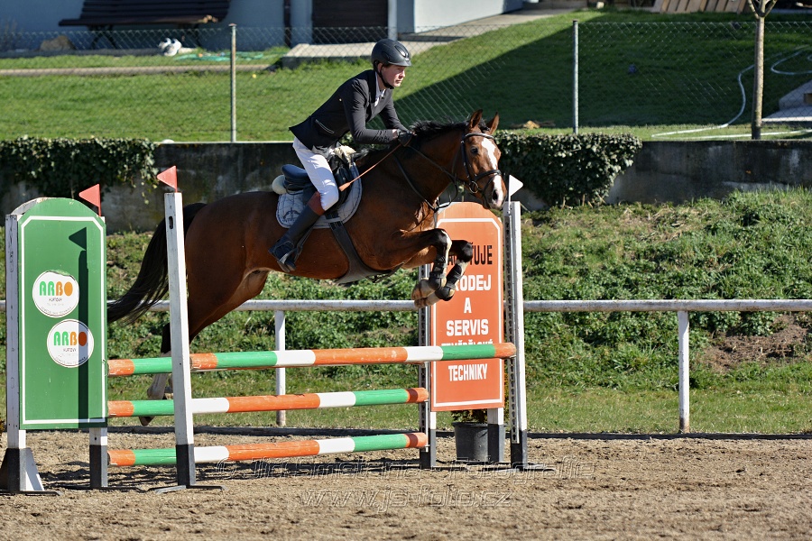 Skoková soutěž „Stupňovaná obtížnost do 100 cm“