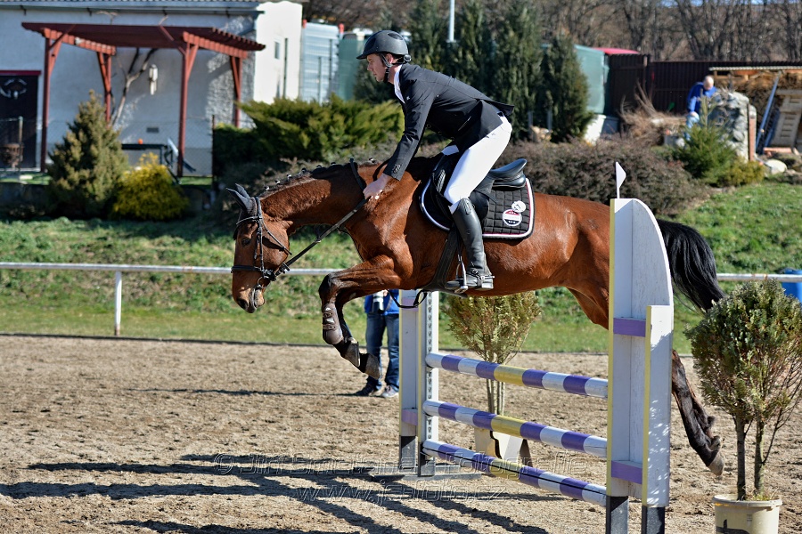 Skoková soutěž „Stupňovaná obtížnost do 100 cm“