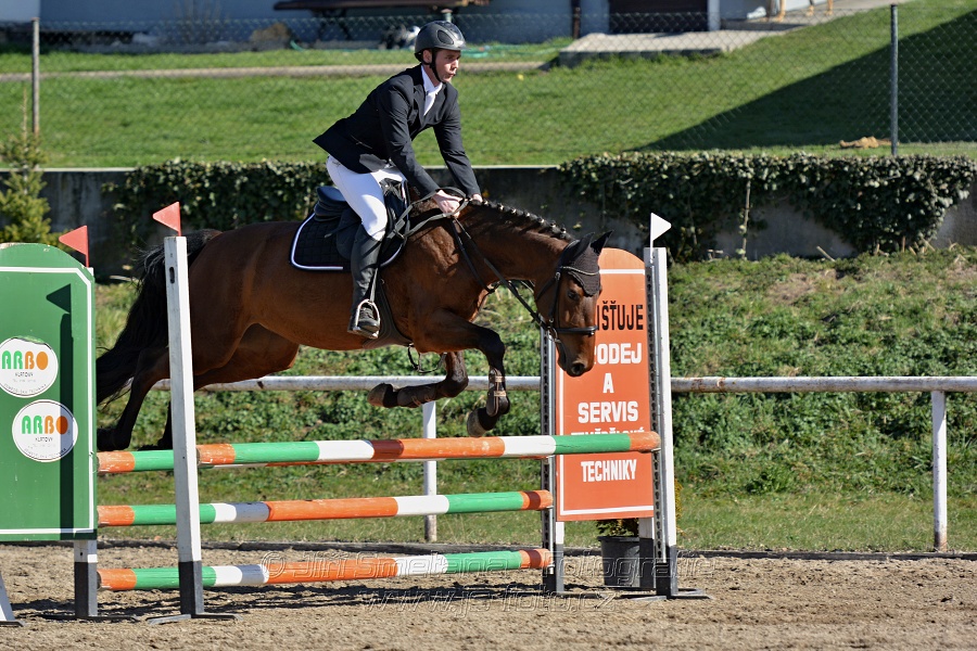 Skoková soutěž „Stupňovaná obtížnost do 100 cm“