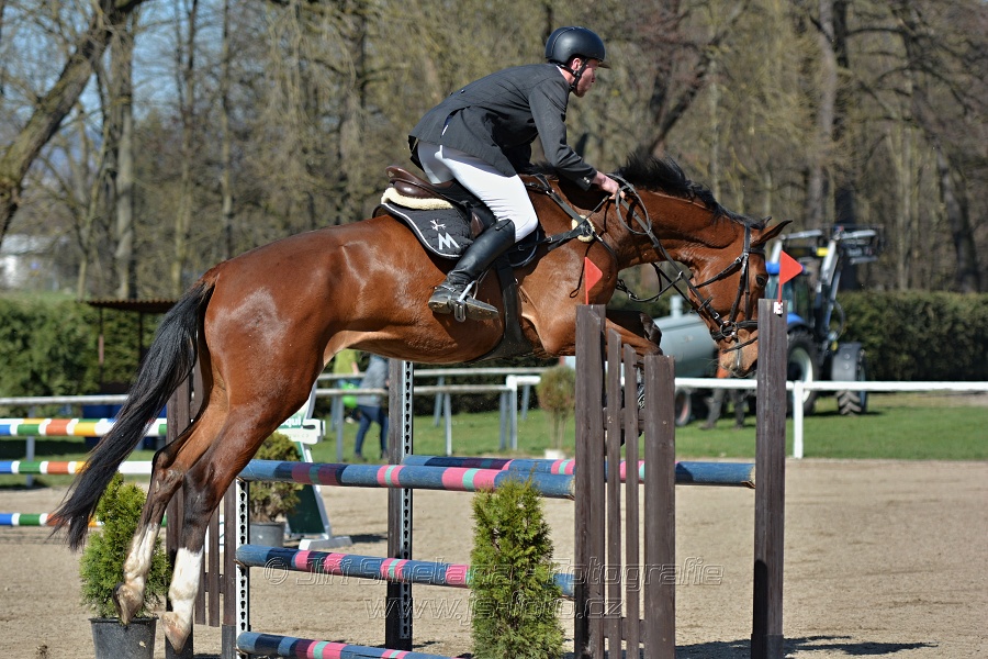 Skoková soutěž stupně „Z“