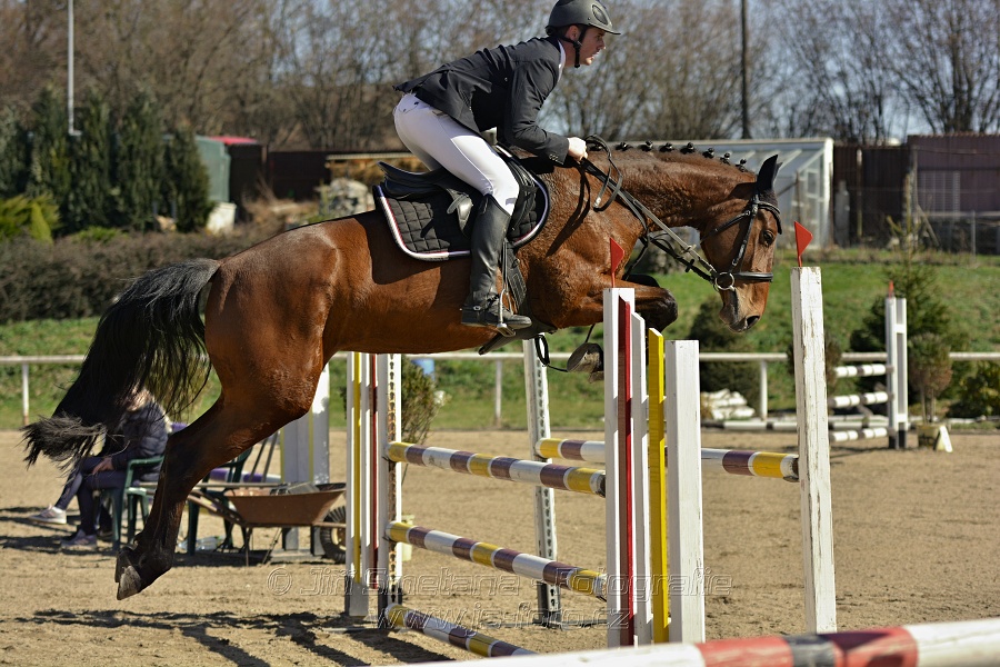 Skoková soutěž stupně „Z“