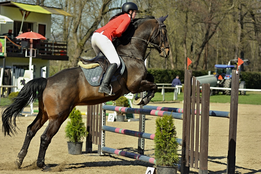 Skoková soutěž stupně „Z“