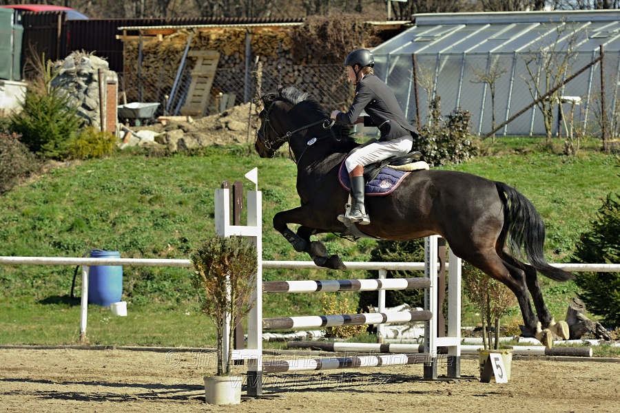 Skoková soutěž stupně „Z“