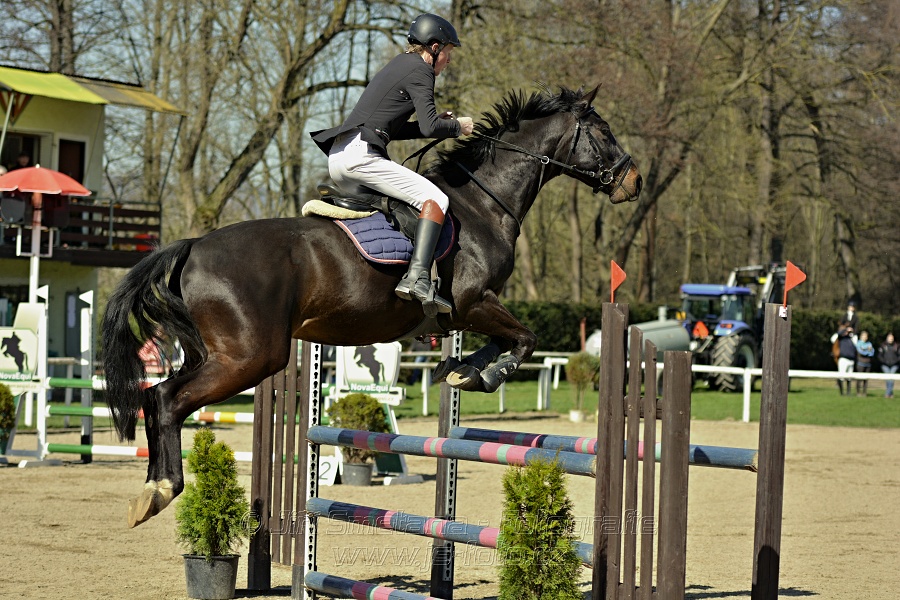 Skoková soutěž stupně „Z“