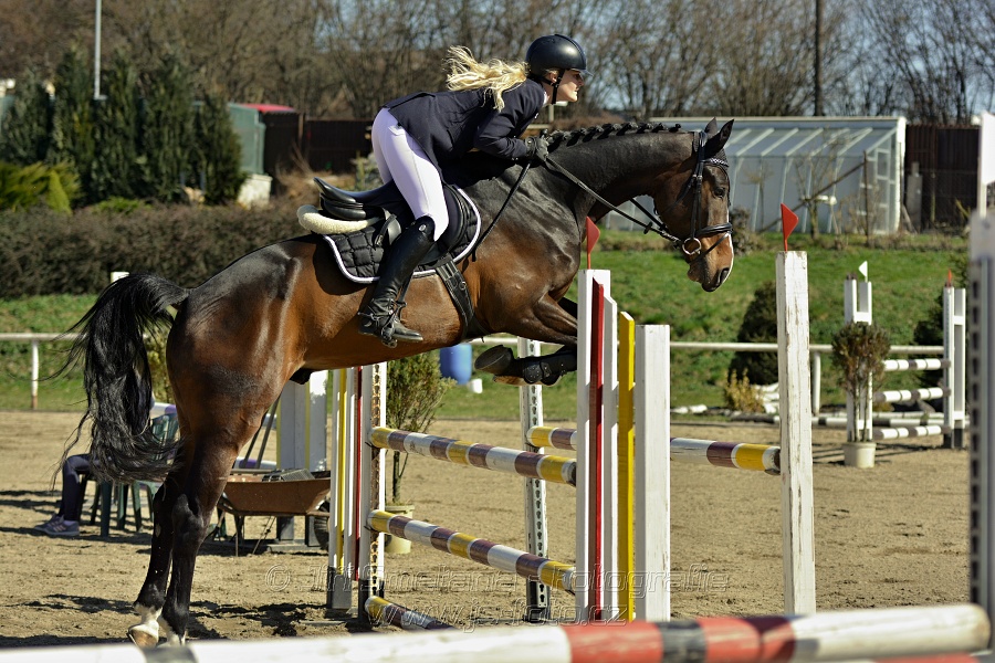 Skoková soutěž stupně „Z“