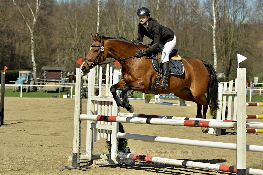 Skoková soutěž stupně „Z“