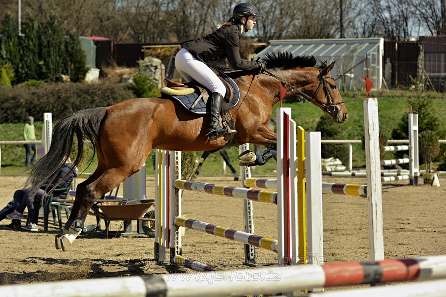 Skoková soutěž stupně „Z“