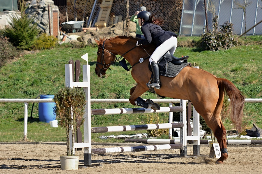 Skoková soutěž stupně „Z“