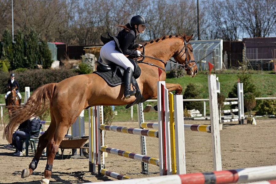 Skoková soutěž stupně „Z“