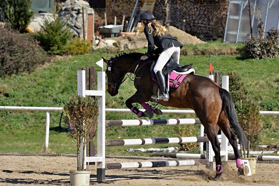 Skoková soutěž stupně „Z“