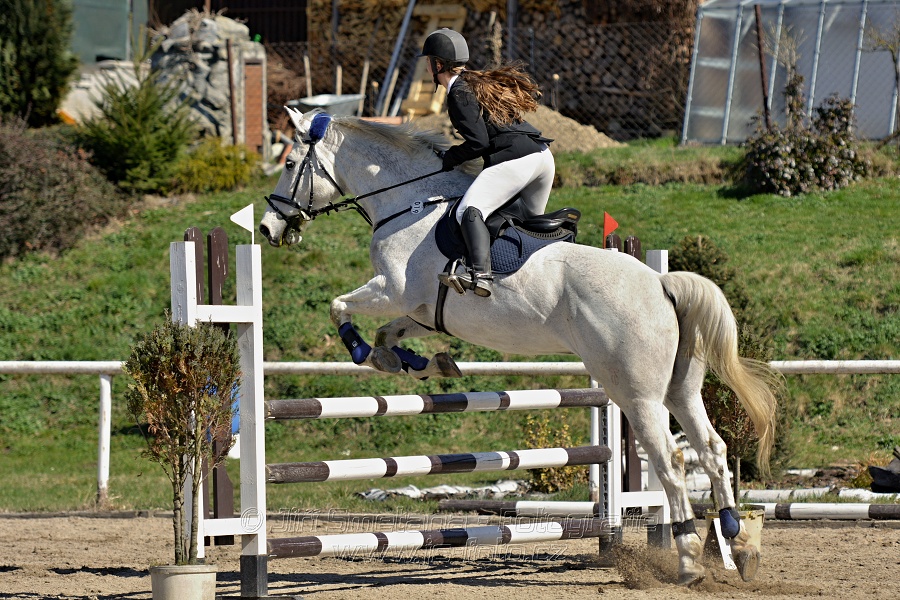 Skoková soutěž stupně „Z“