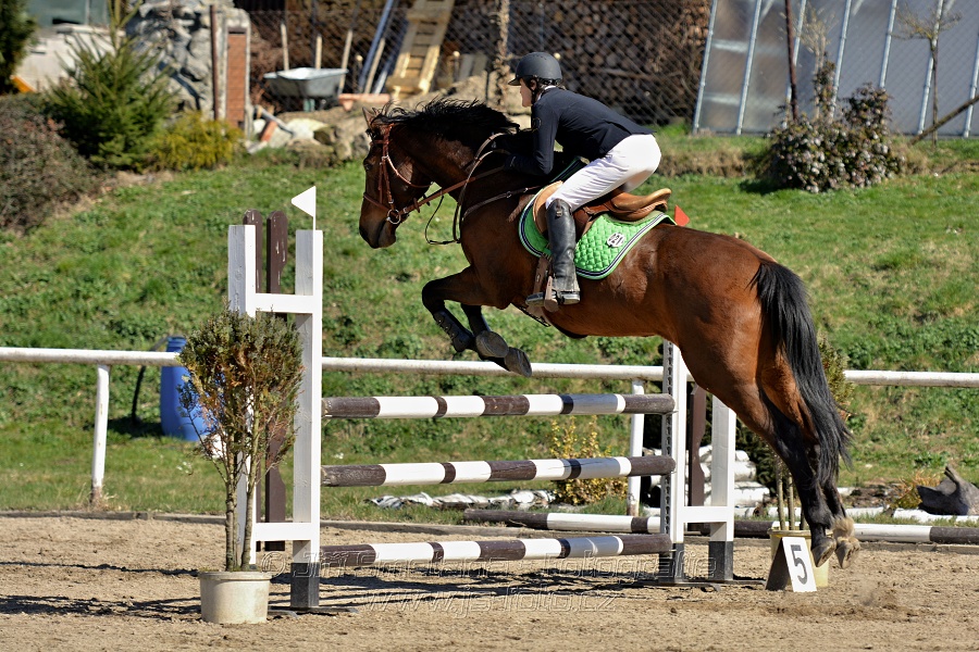 Skoková soutěž stupně „Z“