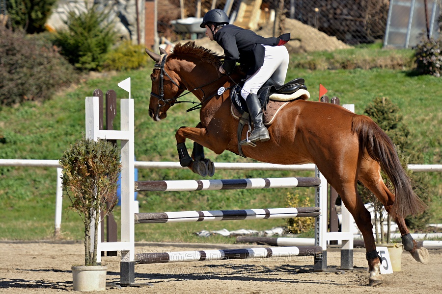Skoková soutěž stupně „Z“