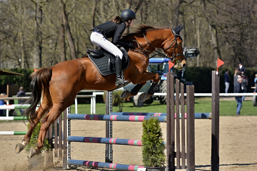 Skoková soutěž stupně „Z“