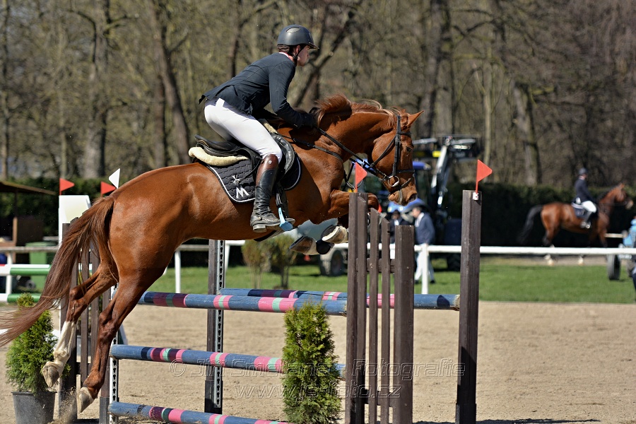 Skoková soutěž stupně „Z“