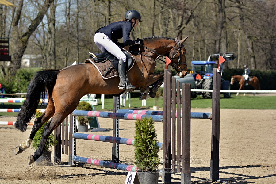 Skoková soutěž stupně „Z“