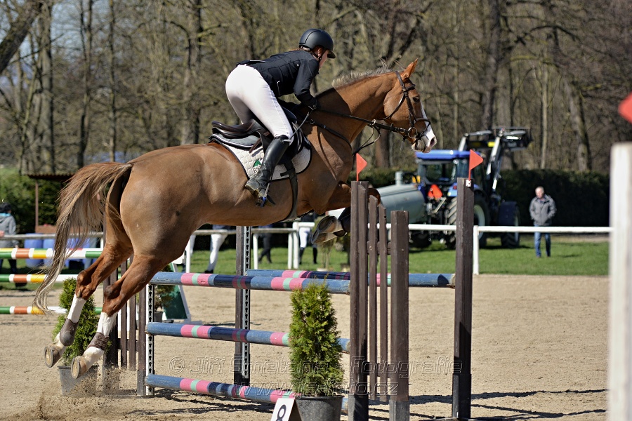 Skoková soutěž stupně „Z“