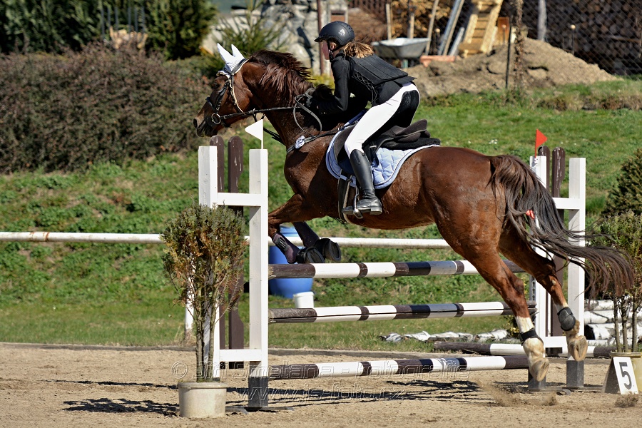 Skoková soutěž stupně „Z“