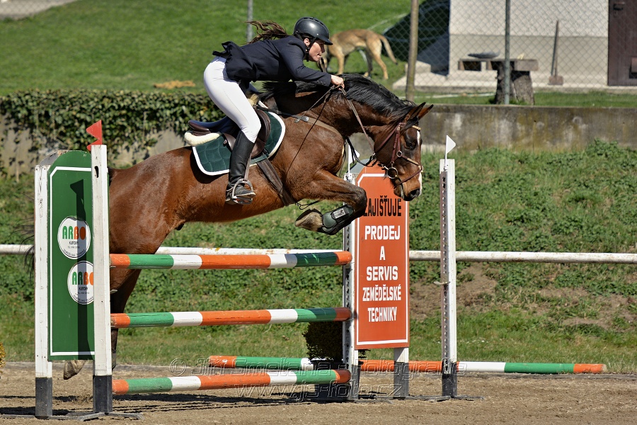 Skoková soutěž stupně „ZL“