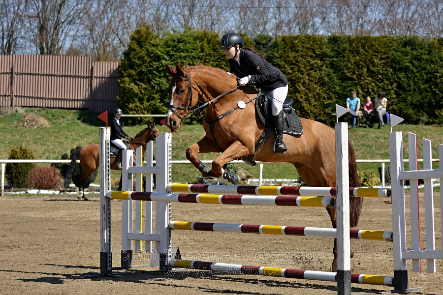 Skoková soutěž stupně „ZL“