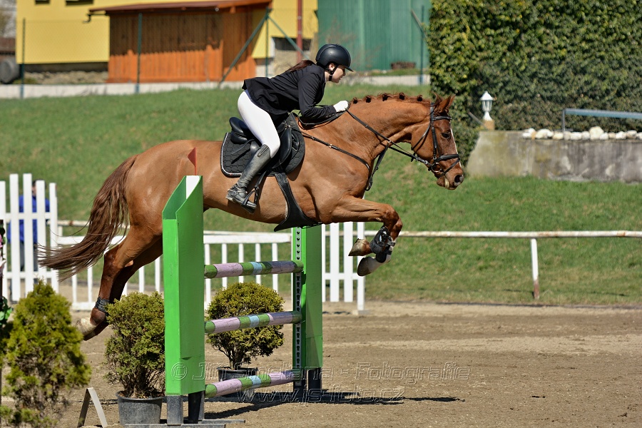 Skoková soutěž stupně „ZL“