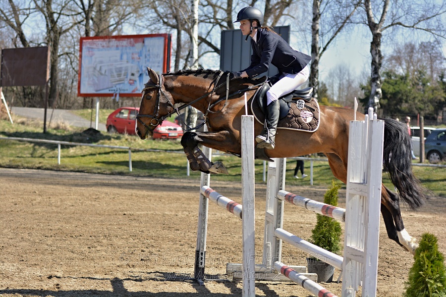 Skoková soutěž stupně „ZL“