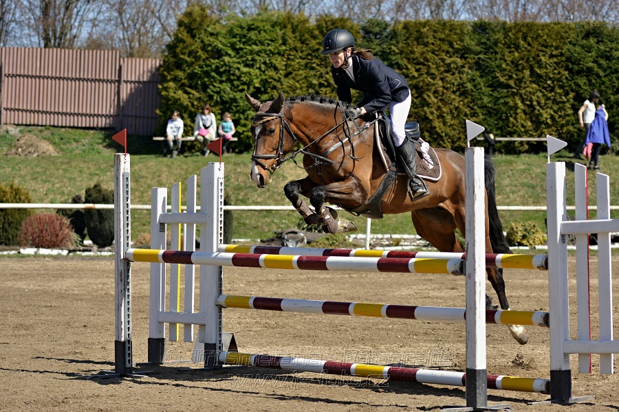 Skoková soutěž stupně „ZL“