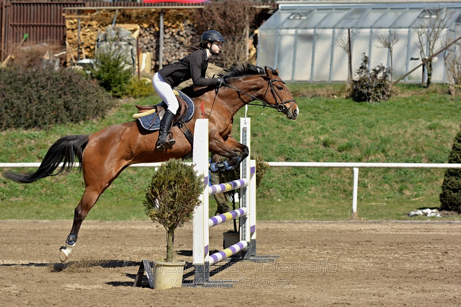 Skoková soutěž stupně „ZL“