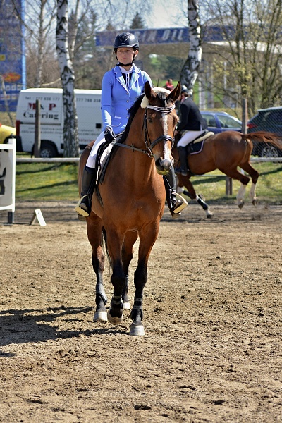 Skoková soutěž stupně „ZL“