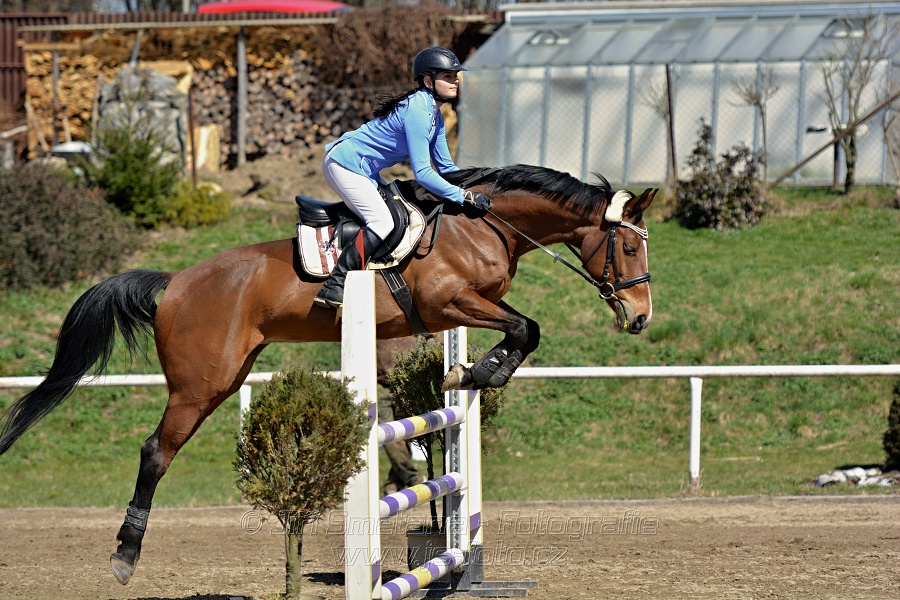 Skoková soutěž stupně „ZL“