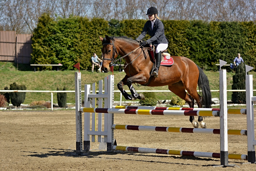 Skoková soutěž stupně „ZL“