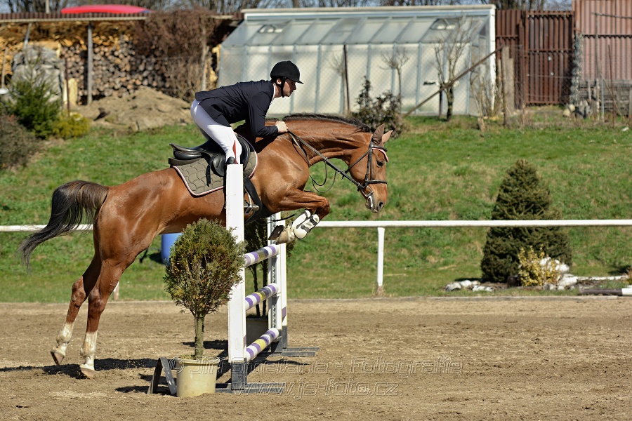 Skoková soutěž stupně „ZL“