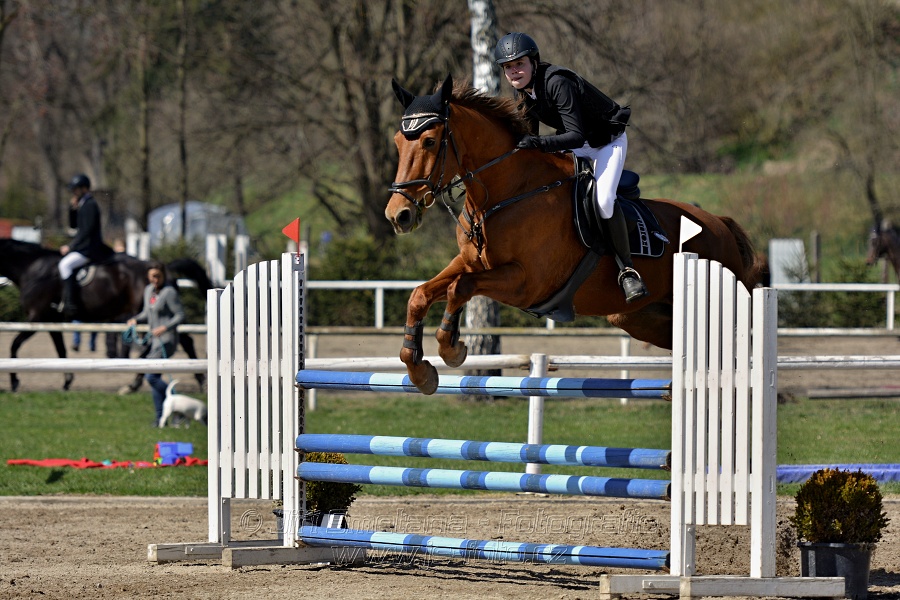 Skoková soutěž stupně „ZL“