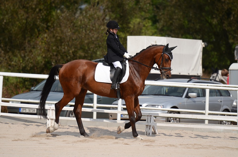 Hobby drezurní závody Dobřany 2011, Soutěž st. „ Z2 