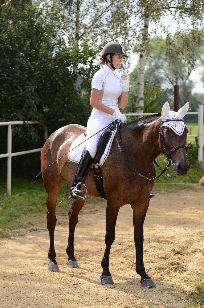 Hobby drezurní závody Dobřany 2011, Soutěž st. „ Z2 
