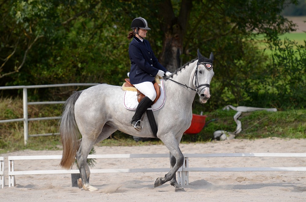 Hobby drezurní závody Dobřany 2011, Soutěž st. „ Z2 