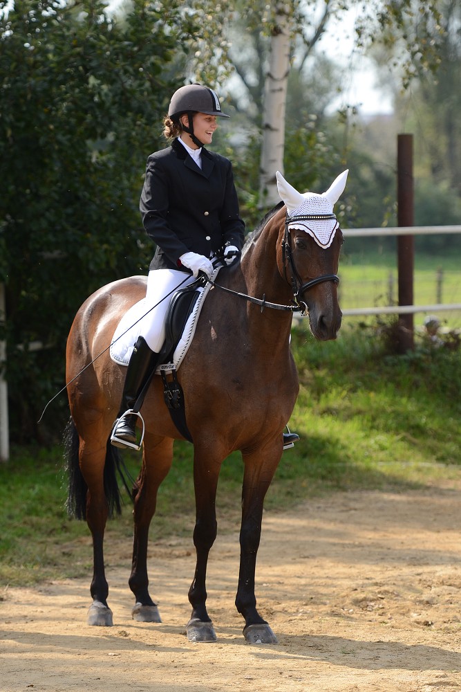 Hobby drezurní závody Dobřany 2011, Soutěž st. „ Z2 