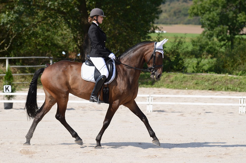 Hobby drezurní závody Dobřany 2011, Soutěž st. „ Z2 