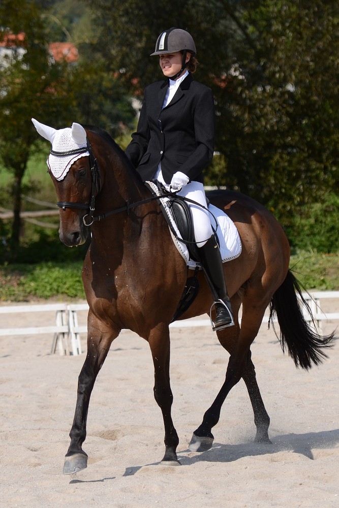 Hobby drezurní závody Dobřany 2011, Soutěž st. „ Z2 