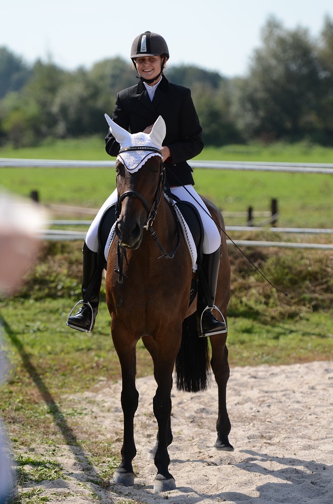 Hobby drezurní závody Dobřany 2011, Soutěž st. „ Z2 