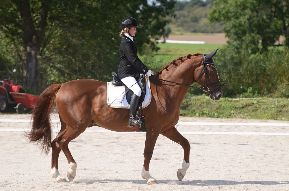 Hobby drezurní závody Dobřany 2011, Soutěž st. „ Z2 