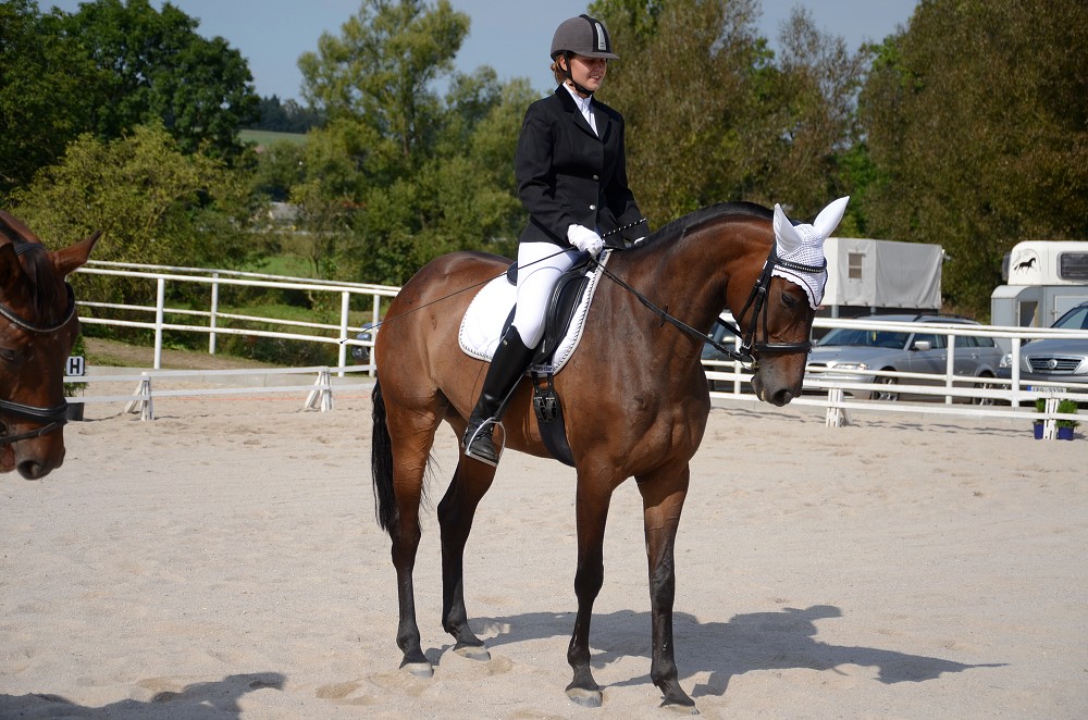 Hobby drezurní závody Dobřany 2011, Soutěž st. „ Z2 