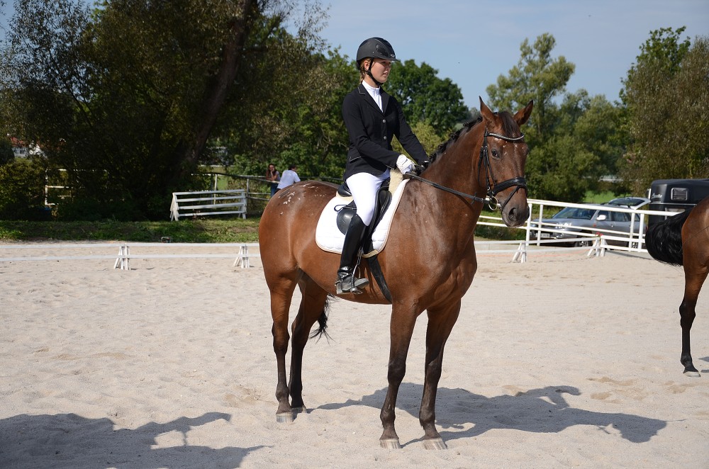 Hobby drezurní závody Dobřany 2011, Soutěž st. „ Z2 