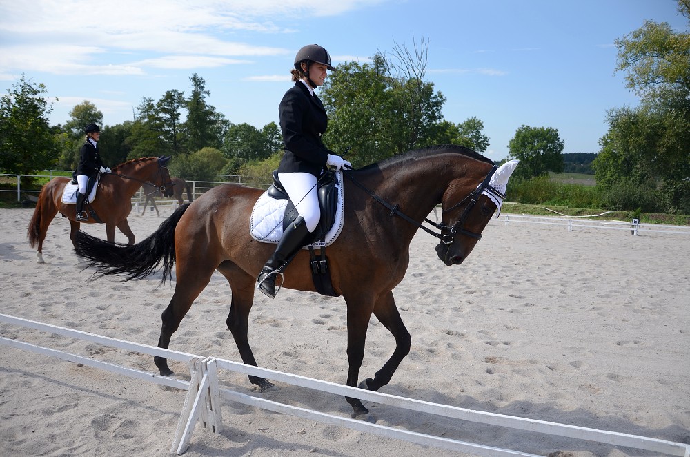 Hobby drezurní závody Dobřany 2011, Soutěž st. „ Z2 