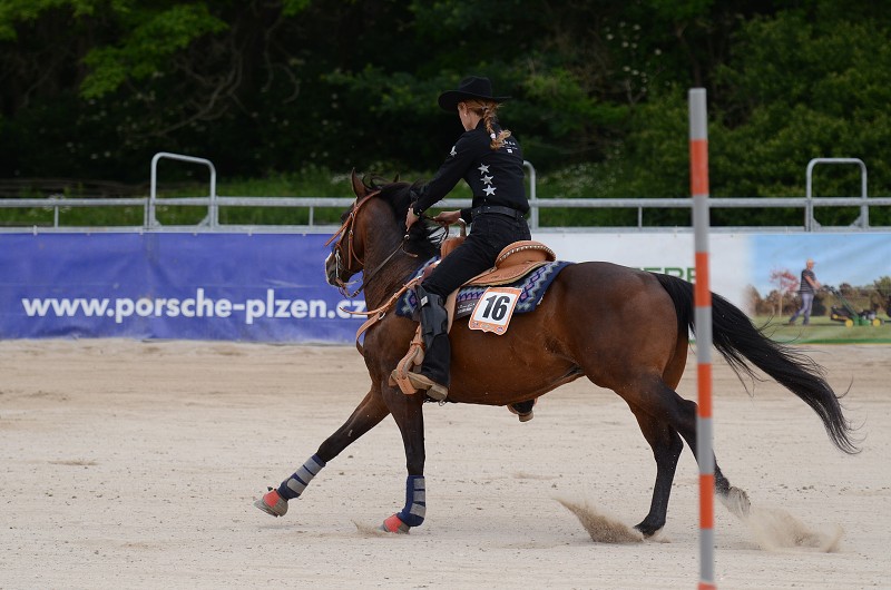 PRORODEO TOUR 2011 HALTER VALLEY